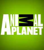 Animal Planet